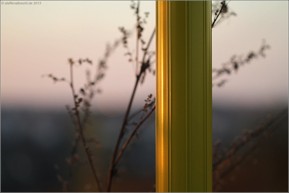 Kein Foto zu sehen? Bitte Internet Explorer ab Vers. 9 benutzen!