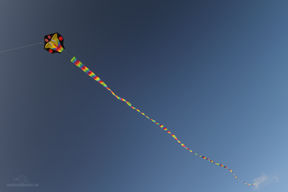 Drachen im Wind